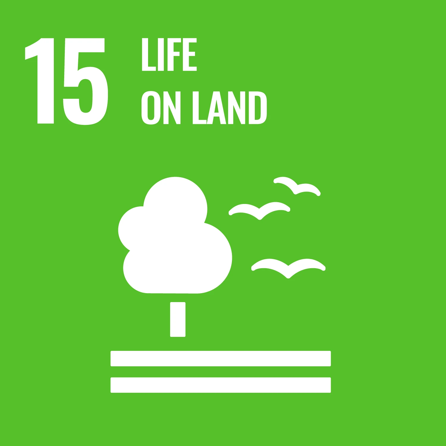 An illustration of a tree with some birds in the sky and the text, "Life on Land"