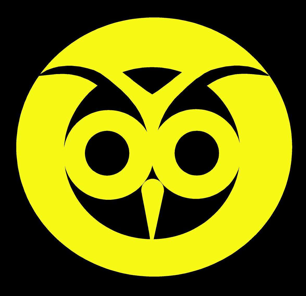Do It In The Dark - owl image