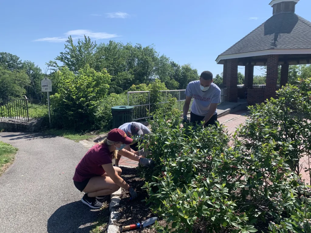 students work on the landscape in a park