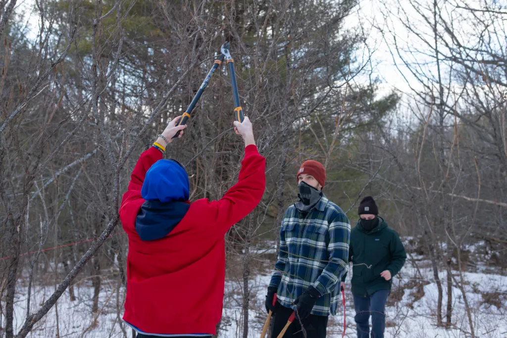 Students remove invasive species