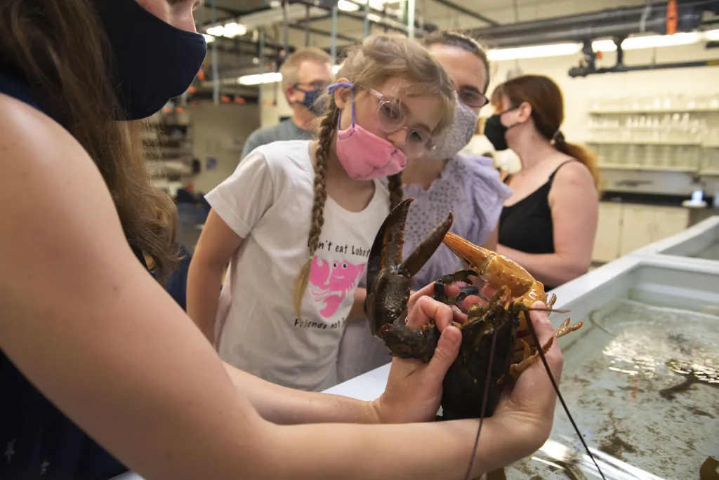 Uliana meets the new split-colored lobster
