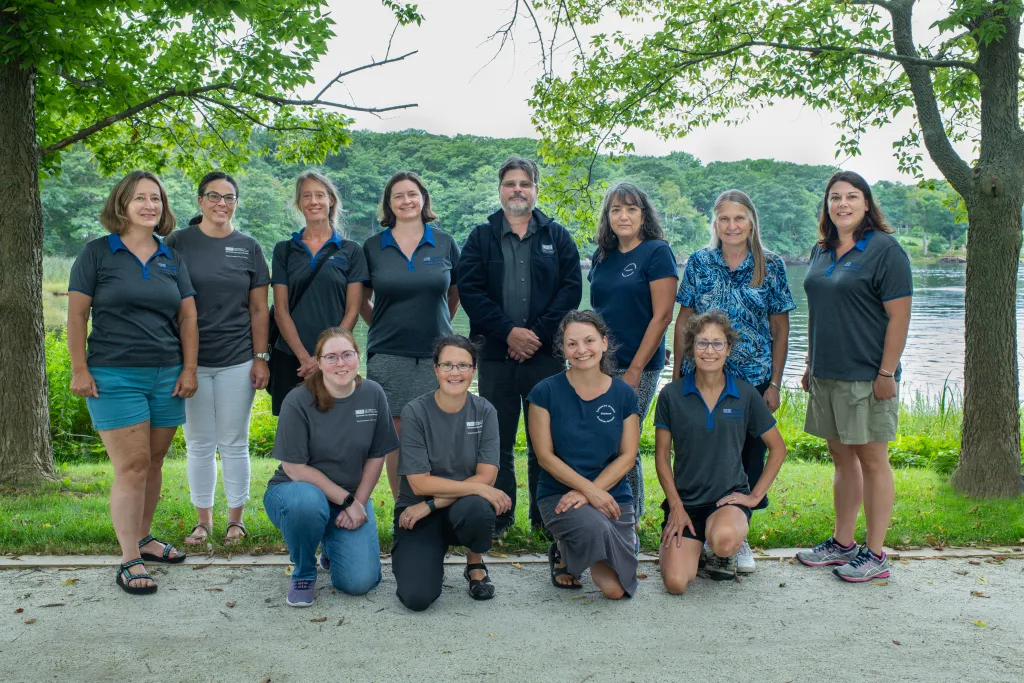 Professional staff members of U N E's student academic success center