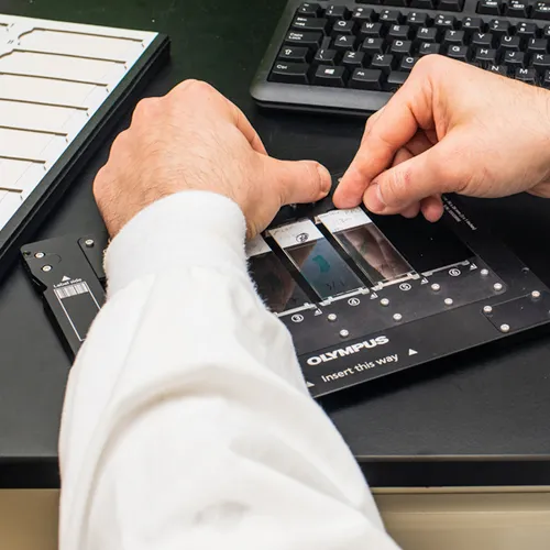 A close-up of hands preparing a row of slides