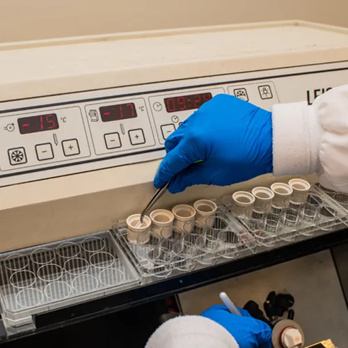 A close-up of hands in blue latex gloves using lab equipment