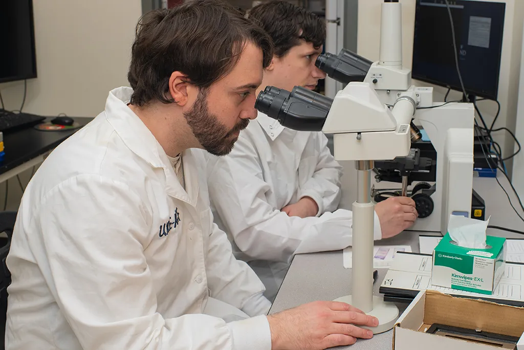 Two U N E students look through microscopes