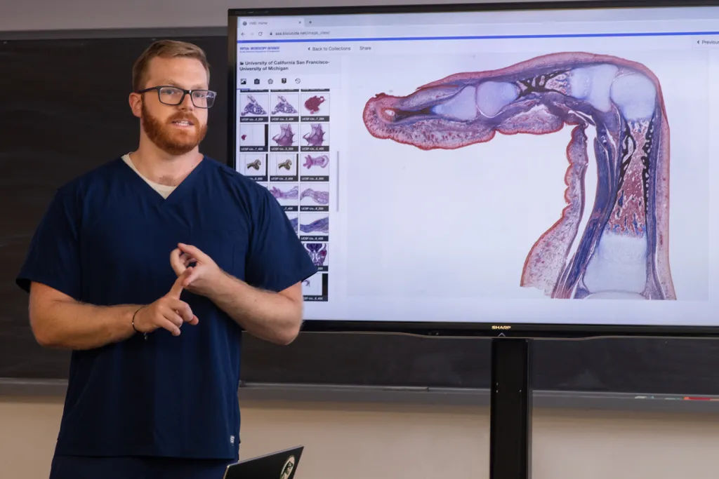 A student stands in front of a powerpoint with anatomical images in a classroom