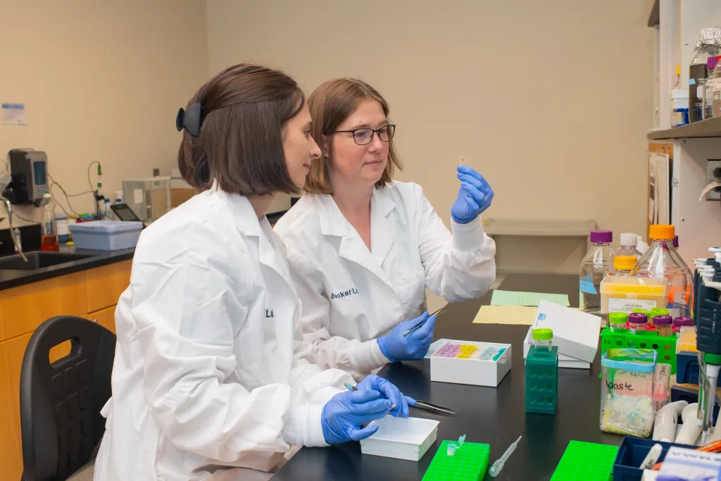 Becker and a student researchers prepare slides in the lab