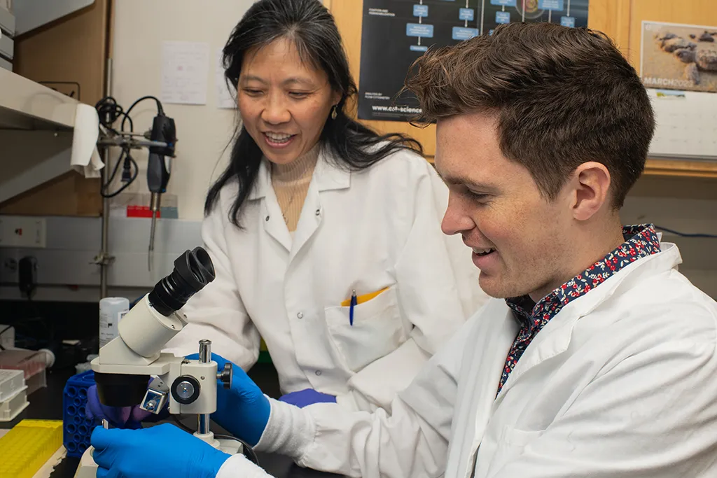 UNE professor Ling Cao works in her lab with a student