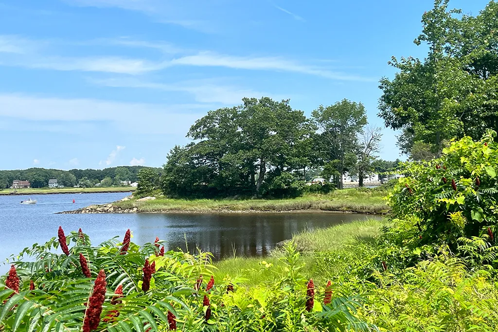 The shoreline at Jordan Point