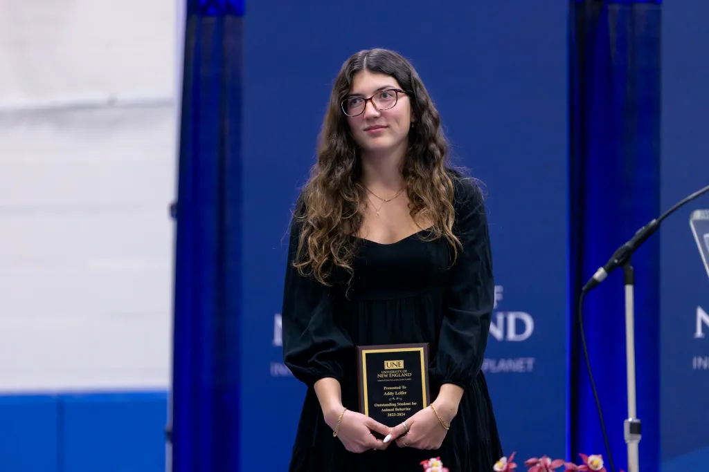 University Awards 2024