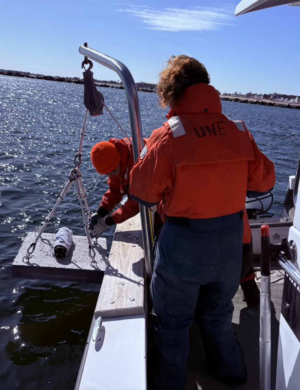 Students deploy wave gauge devices into the ocean from a UNE research boat