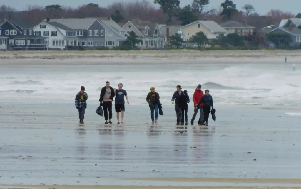 More than 140 volunteers joined in the effort