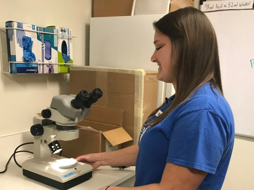 Emily Hanson uses a microscope to look for evidence of microplastics in mussels