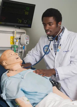 A C O M student wearing a white coat uses a stethoscope to listen to the heart sounds of a patient simulator