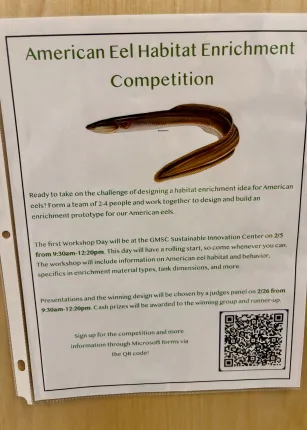 UNE students use innovation to enhance enclosures for happy eels