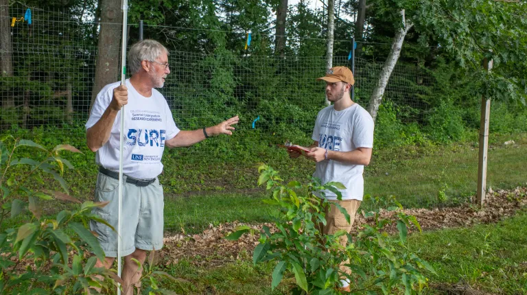 Klak and Environmental Science major Jacob Osmer measure the heights of chestnut trees in their experimental orchard.