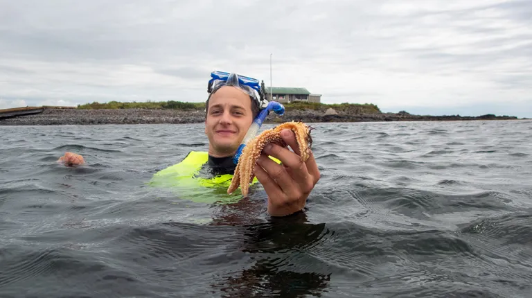 A U N E student snorkeling off the coast of Ram Island