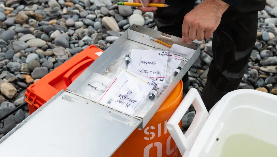 A student preps data recorders for fieldwork