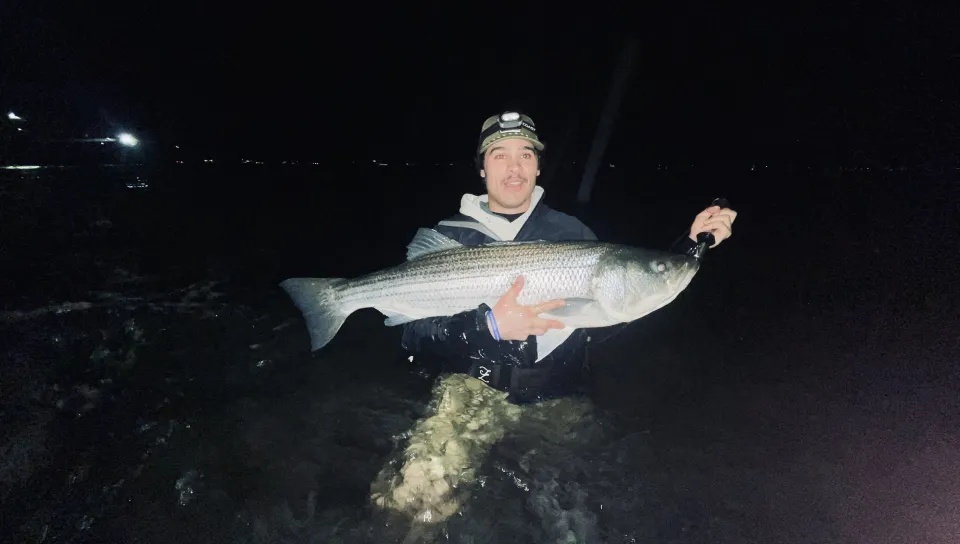 Ben Gowell holds a striped bass at night