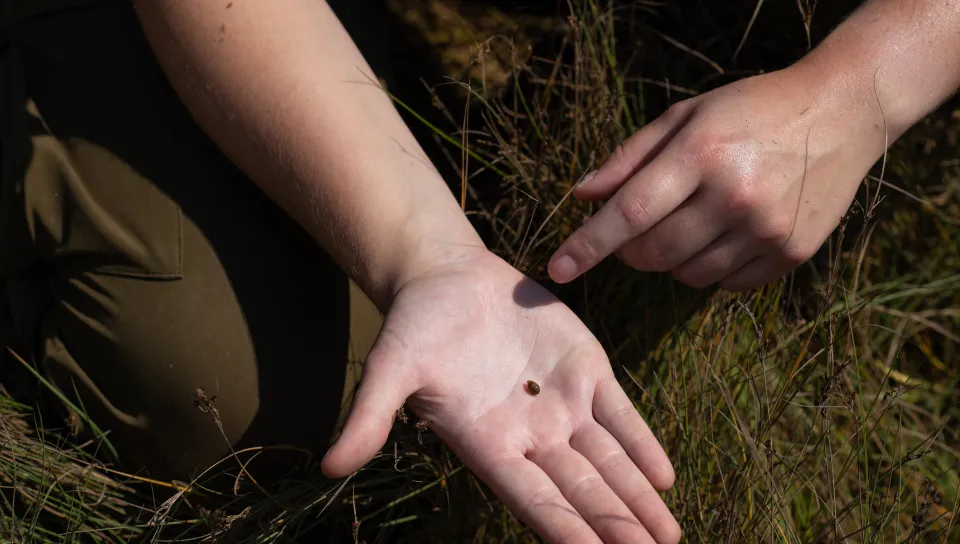 Robyn Rollo holding snail