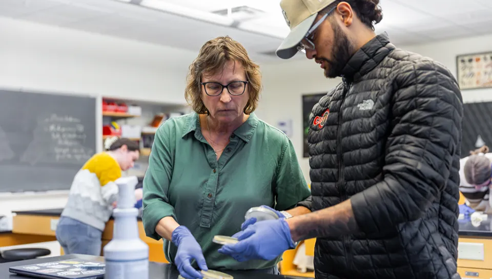 A professor assists a student with their petri dishes filled with yeast in a class lab
