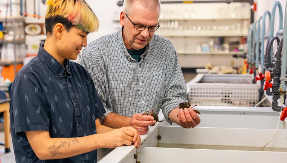A marine science student and their professor hold up small crabs over open containers