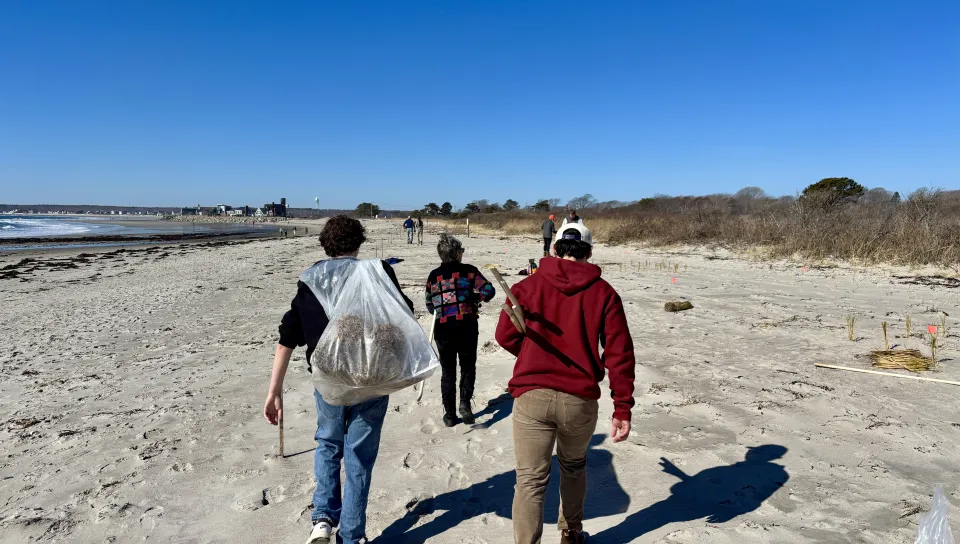 UNE students assist Biddeford conservation nonprofit in making local beaches more climate resilient     