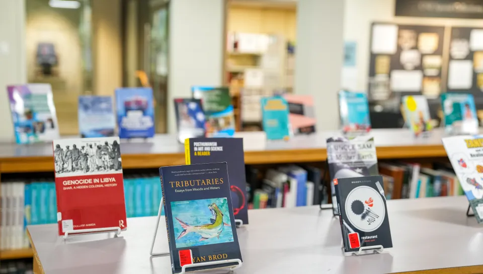 books by UNE authors on display at the UNE Library in Biddeford