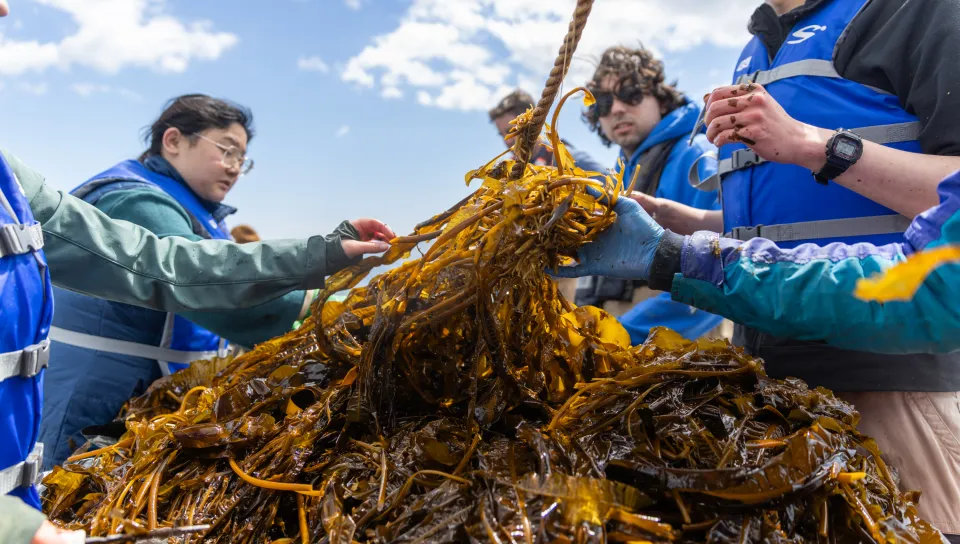 Students hoist help onto a UNE research vessel