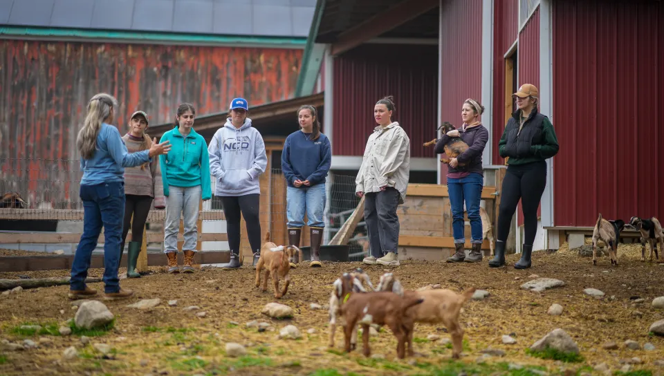 On April 14, University of New England Assistant Clinical Professor Emily Estell, M.P.H., RDN, LD, partnered with a local sheep-and-goat dairy farm in nearby Alfred to provide her nutrition students with an intimate, hands-on lesson in exactly how some local farmers work to support healthier food sources and a healthier planet.
