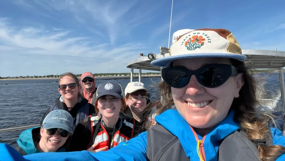 UNE researcher fills gap in Gulf of Maine harbor porpoise data
