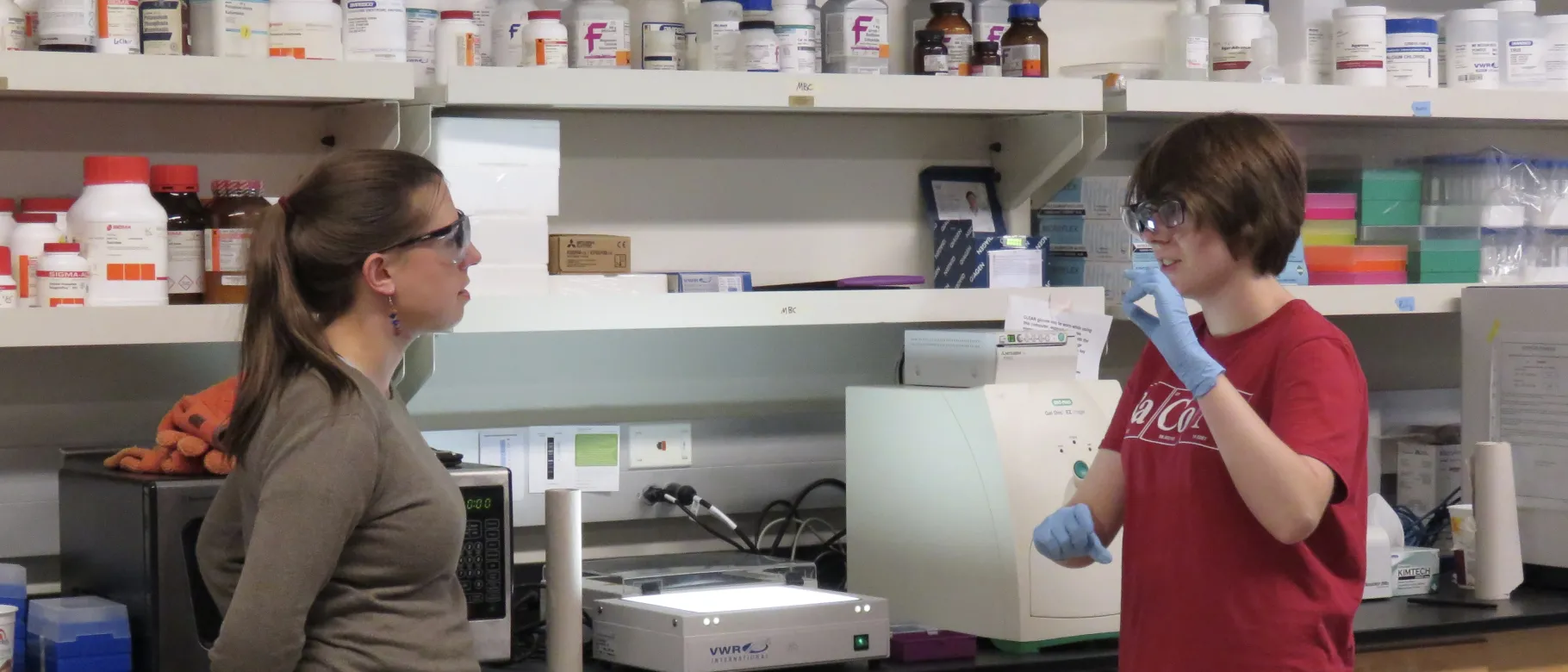 Eva Rose Balog works with student Laura Marvin in her lab on UNE’s Biddeford Campus in 2017.