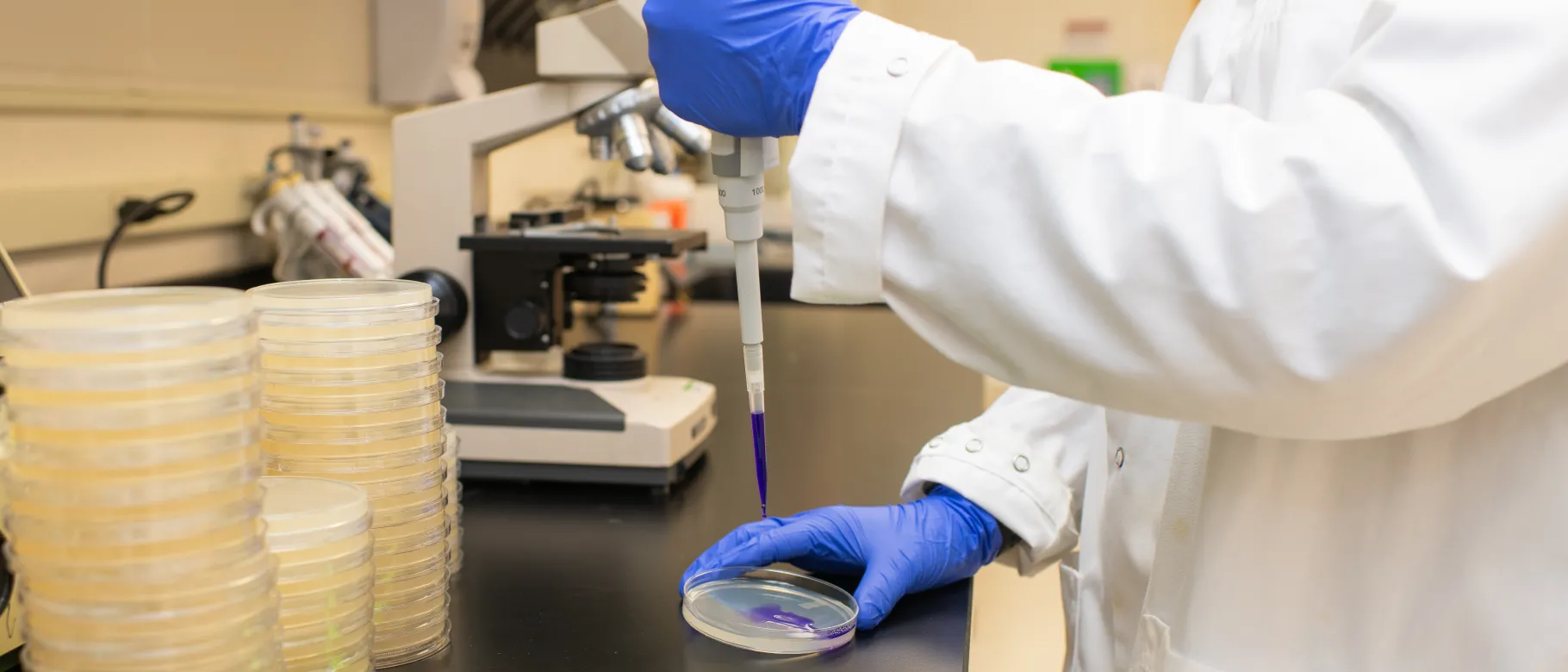 Kristin Burkholder lab person pipeting