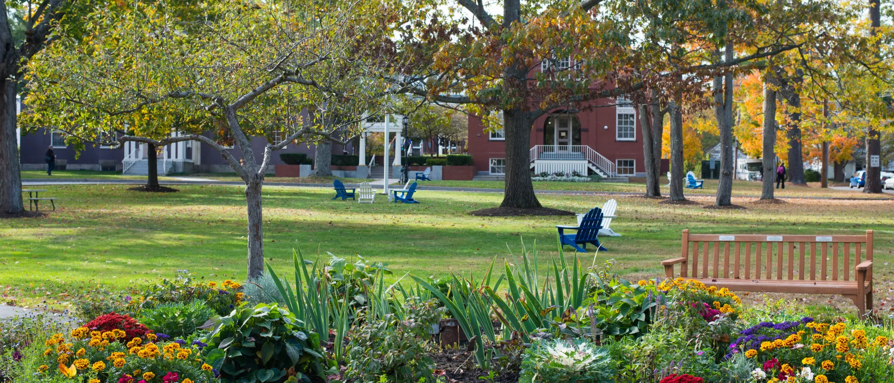 Flowers bloom in a landscaping garden on U N E's Portland Campus