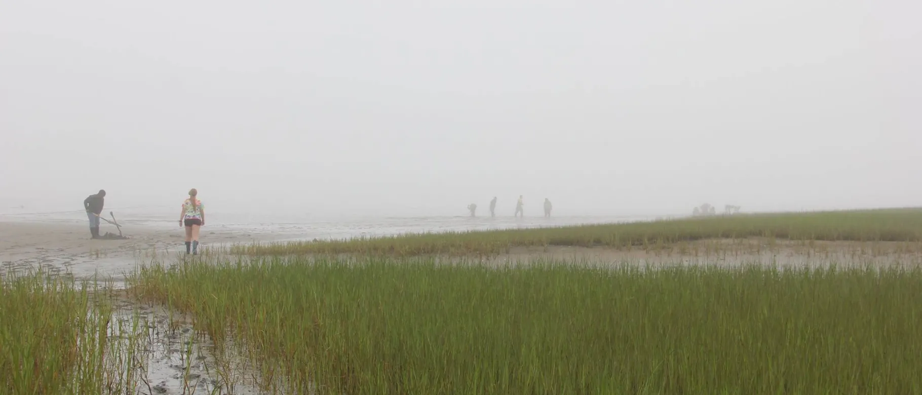 Early College students in the Coastal Marine program get their hands (and feet) dirty while studying the mud flats
