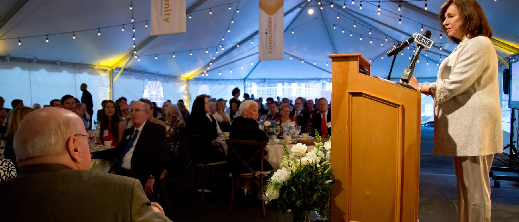 President Danielle Ripich addresses the attendees of the 2016 President's Gala