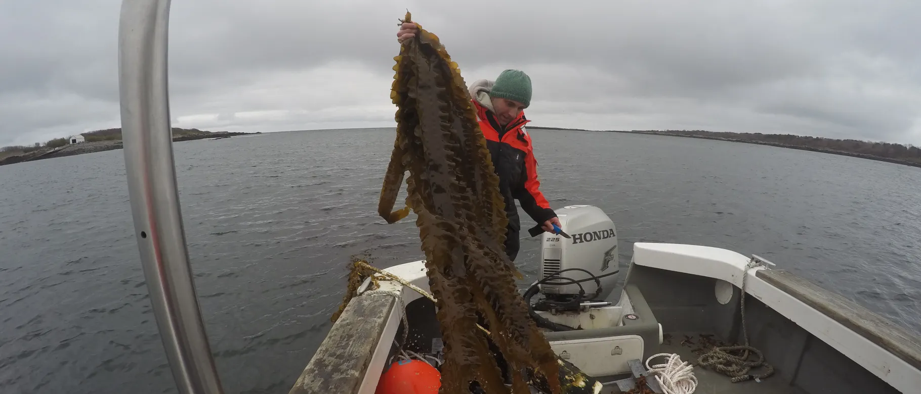 UNE marine researchers present at Aquaculture America 2018