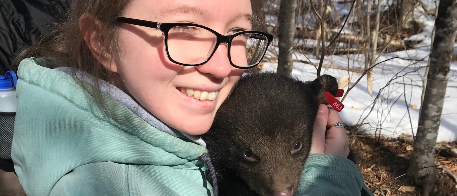 Students in Noah Perlut's Terrestrial Wildlife Lab recently visited a bear den in Downeast Maine