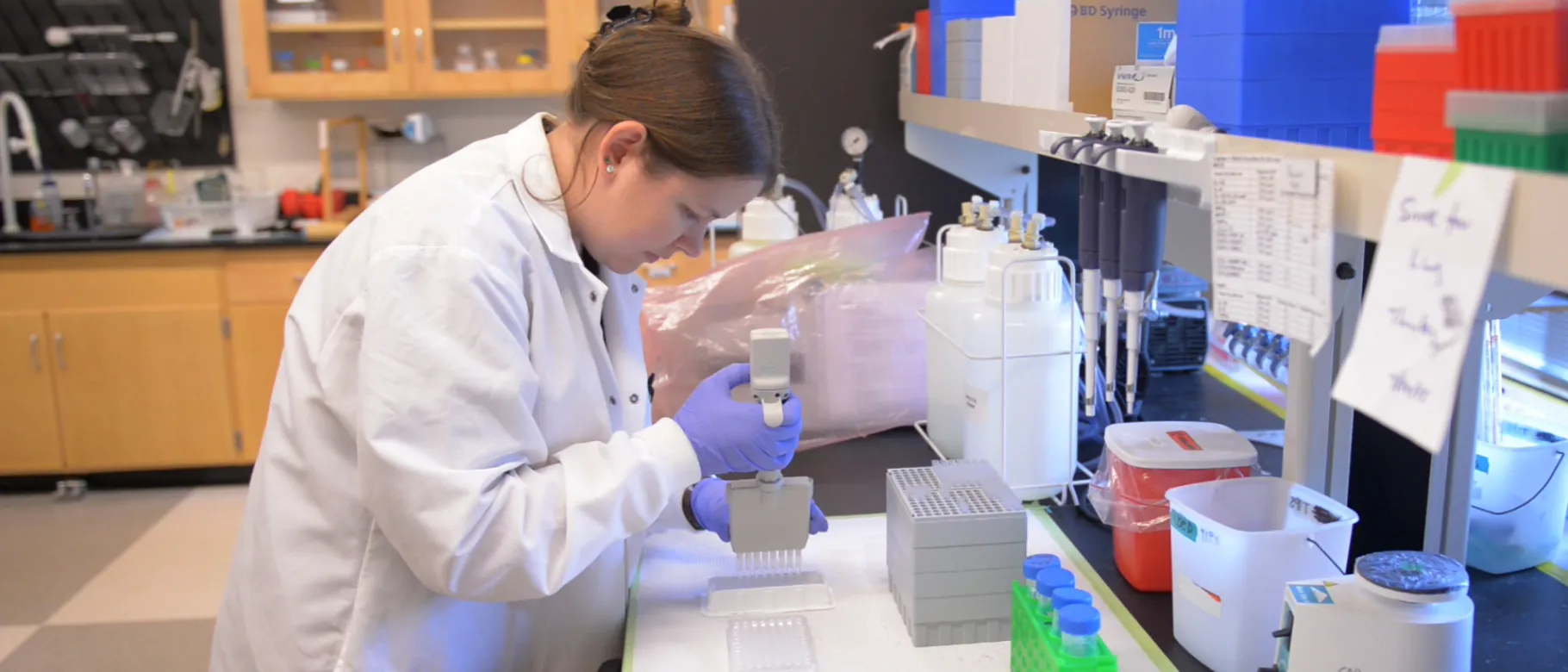 Graduate student Virginia McLane led the study