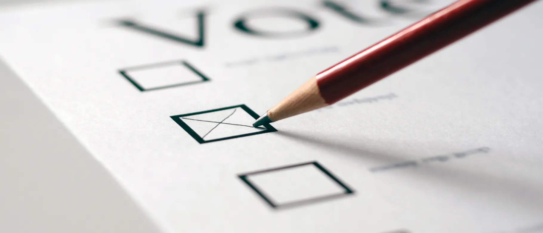 Voting Ballot