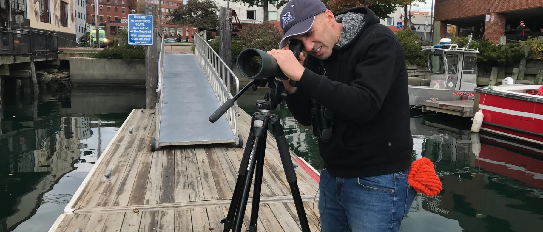 Noah Perlut gets an up close look at gulls along the Portland waterfront