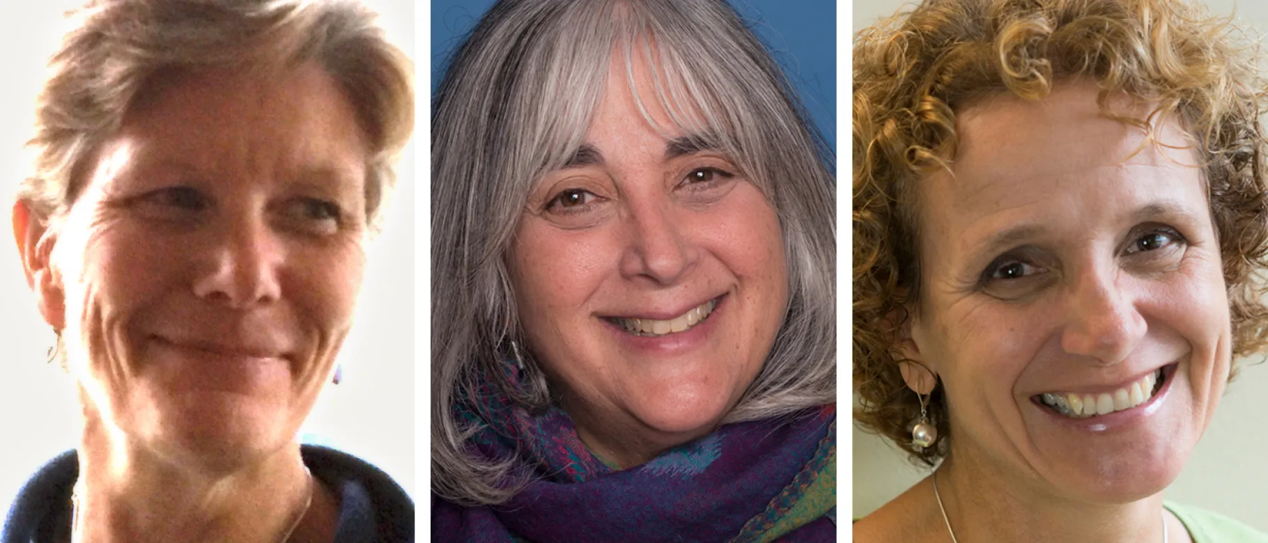 L-R: Kelli Fox, Shelley Cohen Konrad and Cyndi Amato