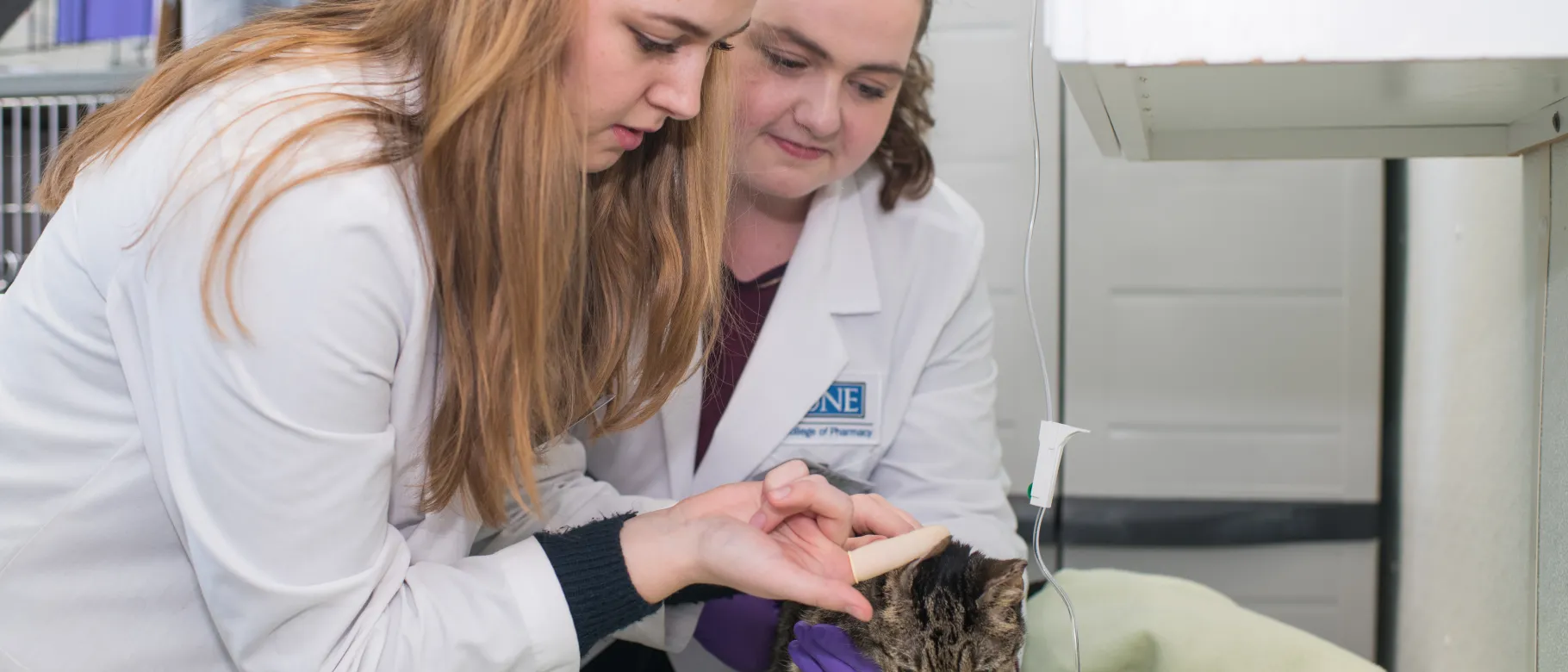 College of Pharmacy students Evan Carrell and Marlee Smith get experience with animal pharmaceuticals at the Hart shelter