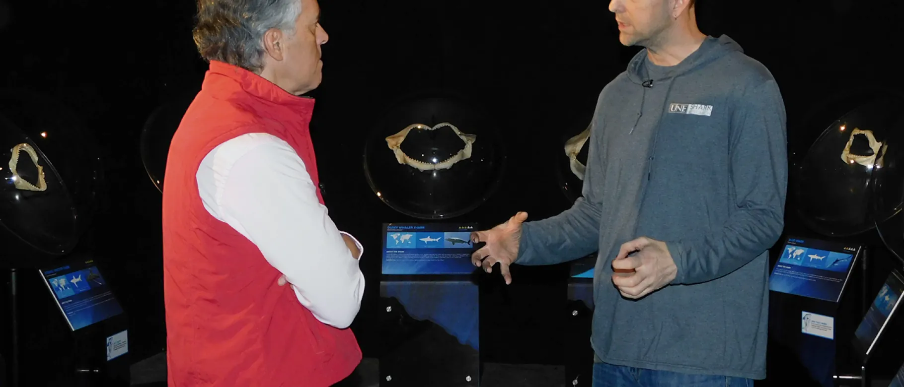 James Sulikowski is interviewed by "207"
