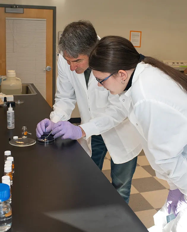 Ian Meng works with a UNE student in his lab
