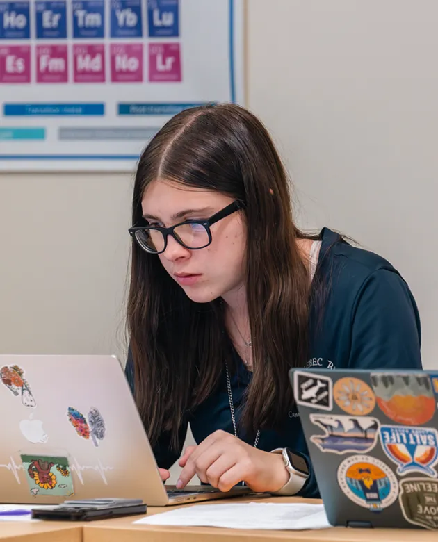 A poster of the periodic table hangs behind a student at their laptop
