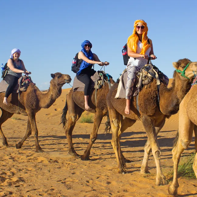 A line of three students wearing headscarves and riding camels in the Moroccan desert