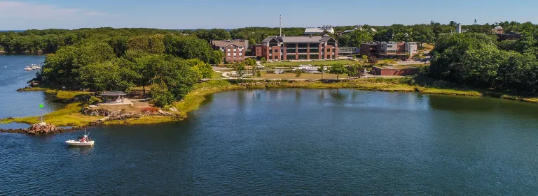 Here's alt text for this image: "Aerial view of University of New England's Biddeford campus situated on a wooded peninsula surrounded by water. The campus features red brick academic buildings, including a prominent multi-story residence hall, nestled among dense forest. A wooden pier extends into the calm blue water where a sailboat is anchored. The scenic waterfront location shows the campus integrated into the natural coastal Maine landscape with trees extending to the water's edge.