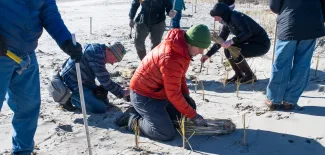 UNE students aid Biddeford Pool Conservation Trust in coastal restoration effort
