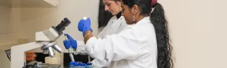 Two students work in white coats and rubber gloves in a lab setting 